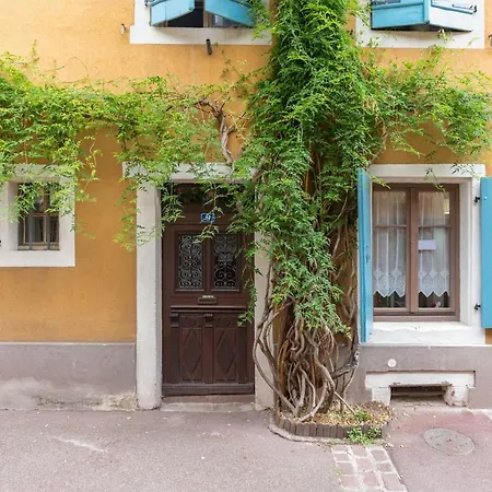 Travel Homes -The Cigogne, Quiet & Heart Of Colmar Exterior foto