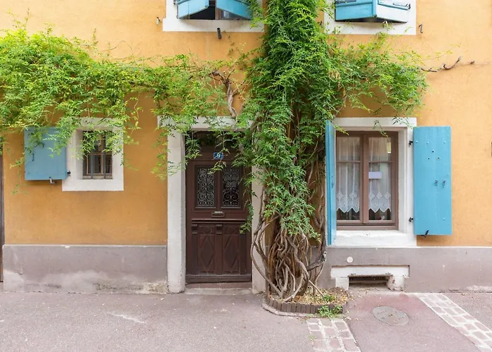 Travel Homes -The Cigogne, Quiet & Heart Of Colmar